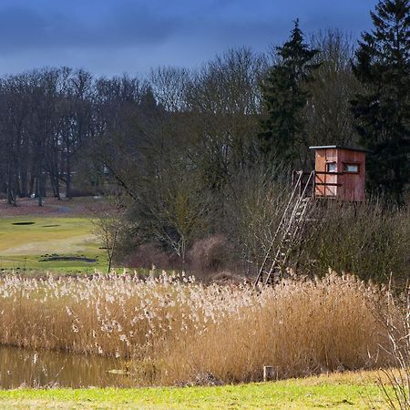 Göhren-Lebbin Tiny House Fleesensee Mit Eigenem Garten Und Nur Wenige Meter Vom Seeufer מראה חיצוני תמונה